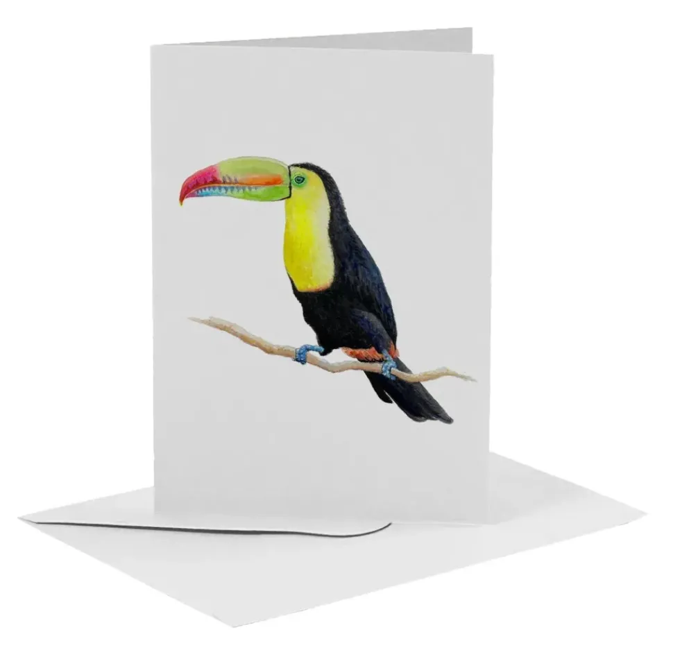 MiesToGo Wenskaart Toekan