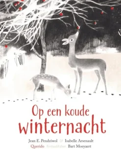 Op een koude winternacht