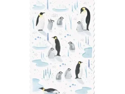 Postcard - Penguins