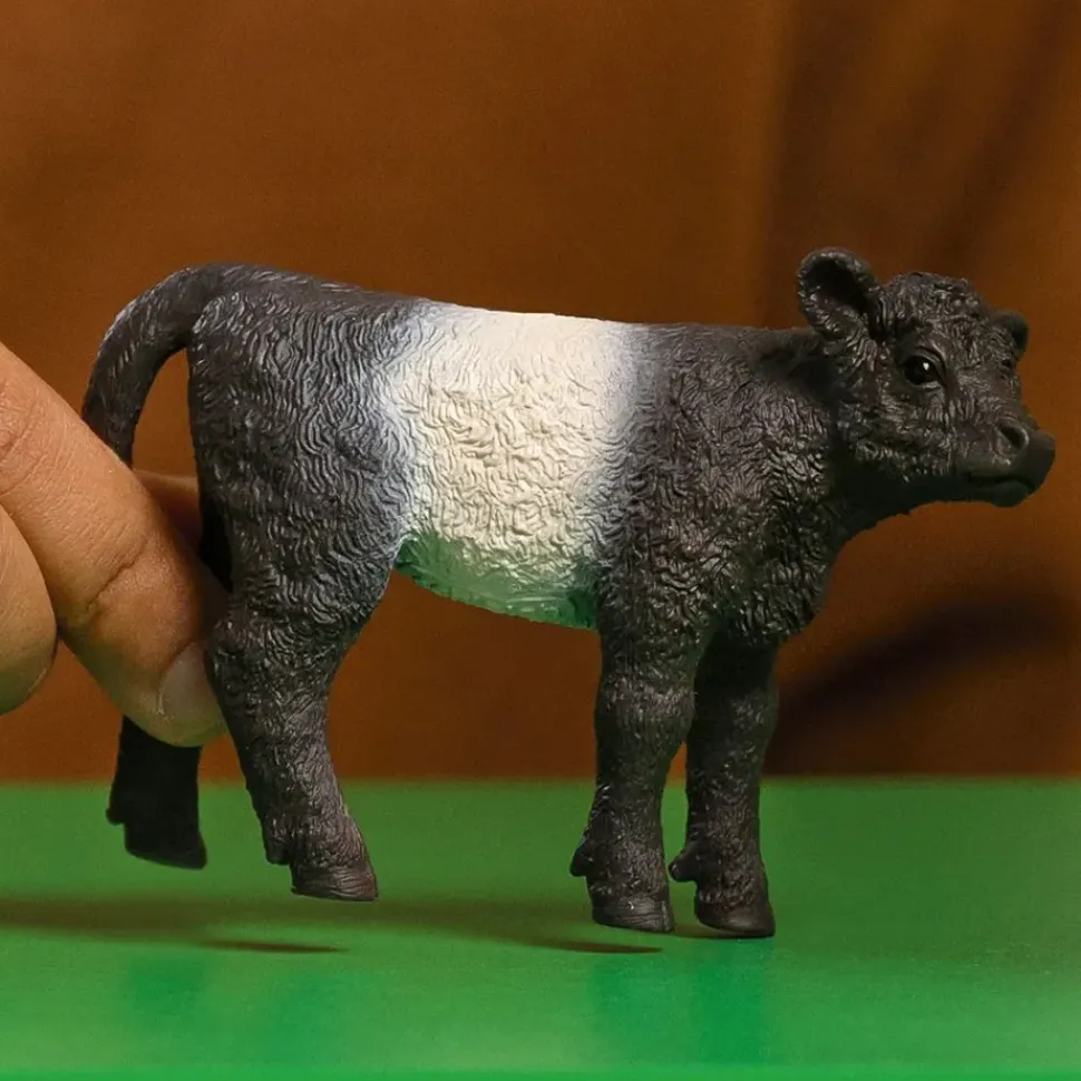 Schleich Galloway Kalf