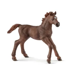 Schleich Paard Engelse Volbloed Veulen 13857