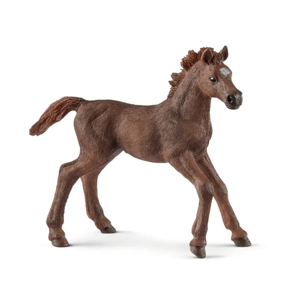 Schleich Paard Engelse Volbloed Veulen 13857