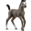 Schleich Selle Français-Veulen