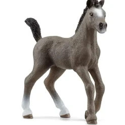 Schleich Selle Français-Veulen