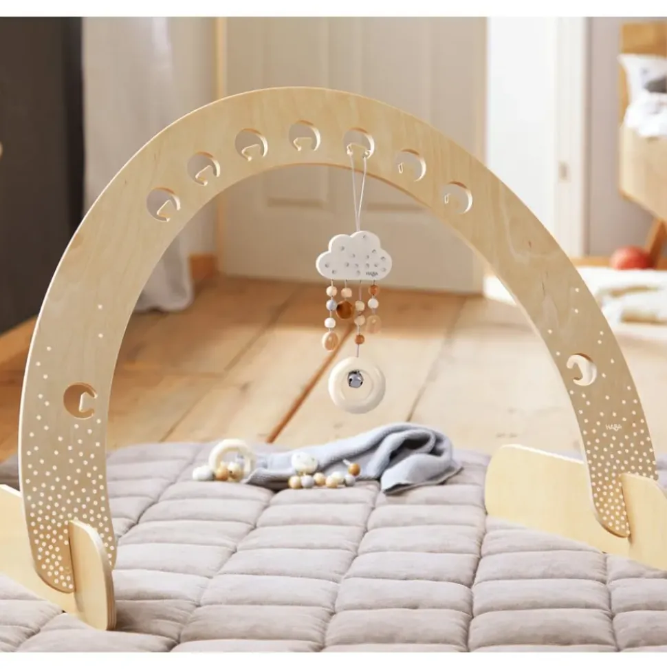 Speeltrainer Stipjes