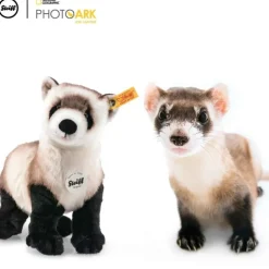 Steiff Knuffel Fret Ferri National Geographic