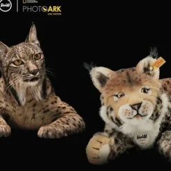 Steiff Knuffel Lynx National Geographic Mizzy 35 cm