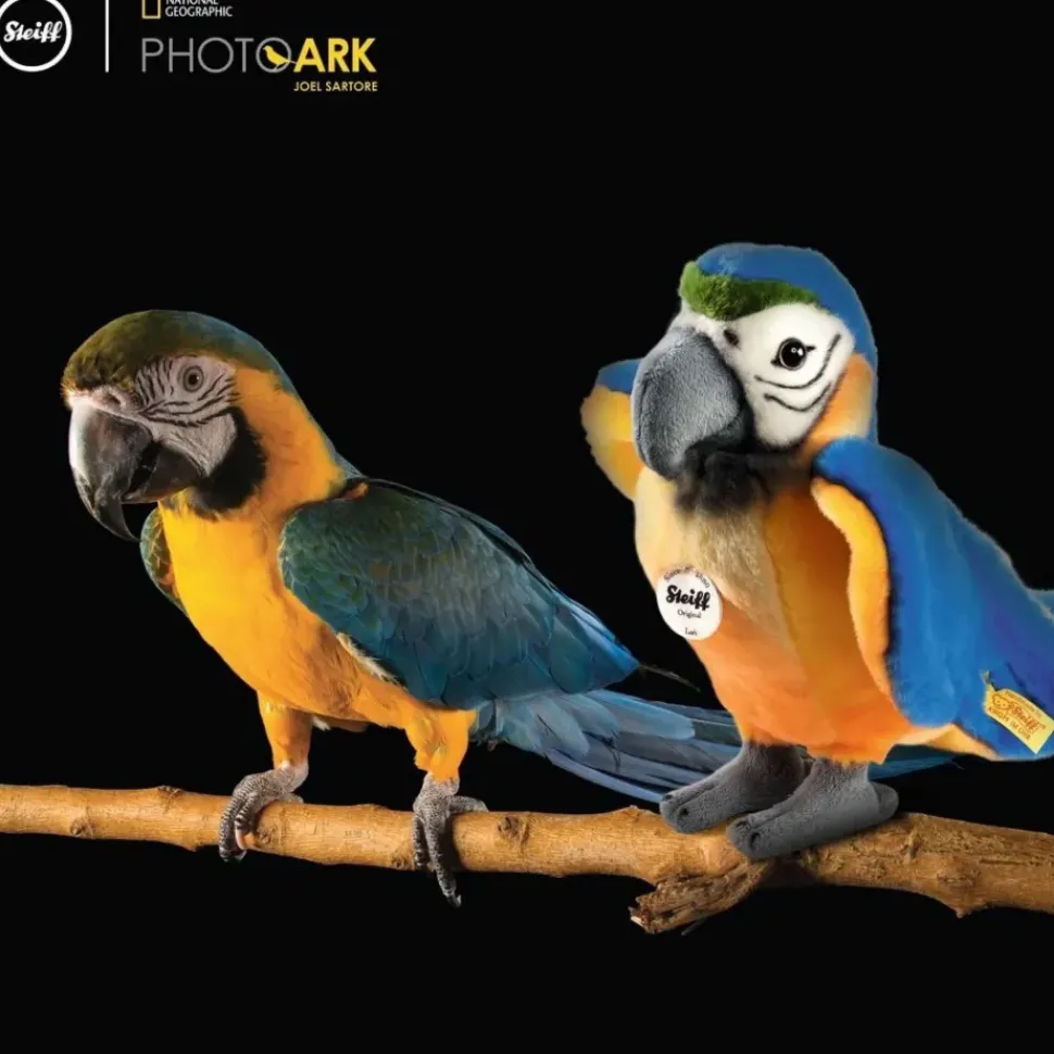 Steiff Knuffel Papegaai National Geographic Lori