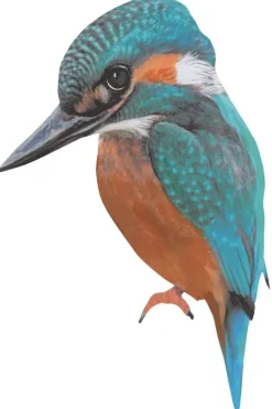 Sticky Tales Muursticker Bella de IJsvogel