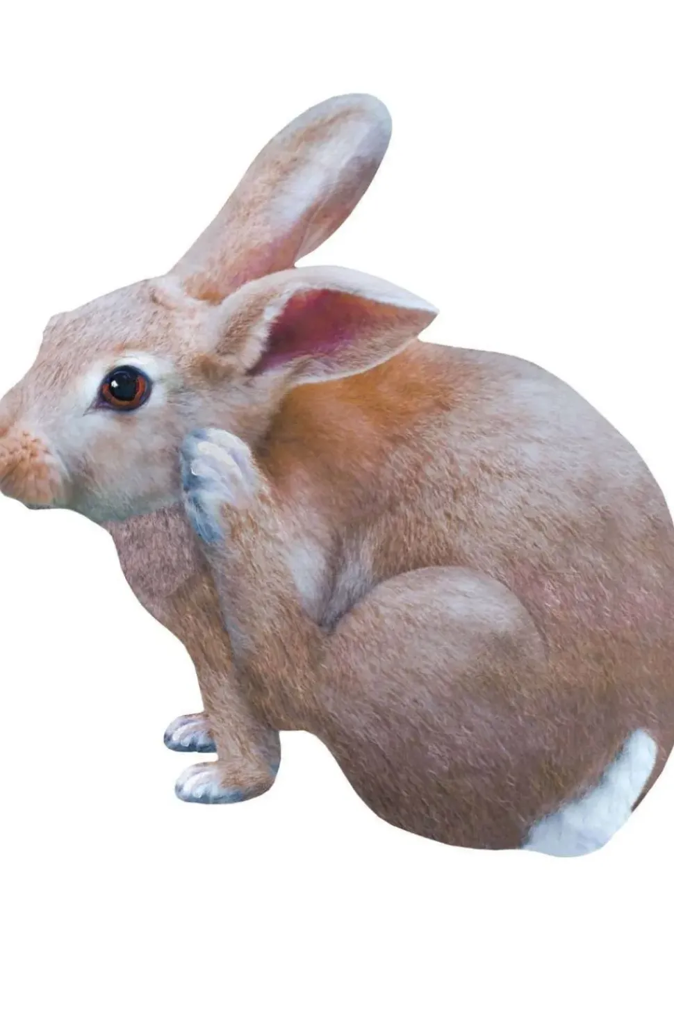 Sticky Tales Muursticker Konijn Tipi