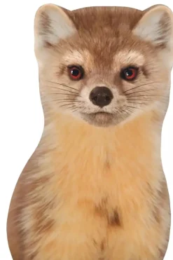 Sticky Tales Muursticker Marter