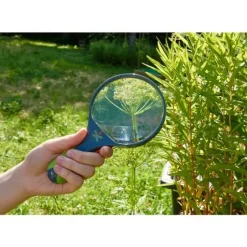 Terra Kids - Kinderloep