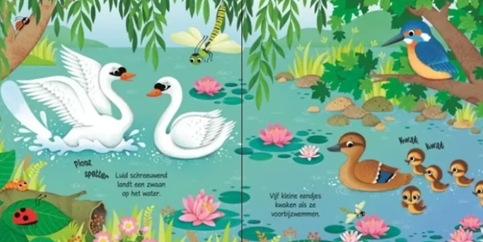 Vogels geluidenboekje