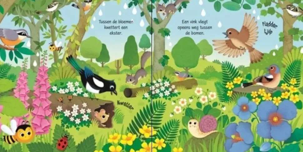 Vogels geluidenboekje