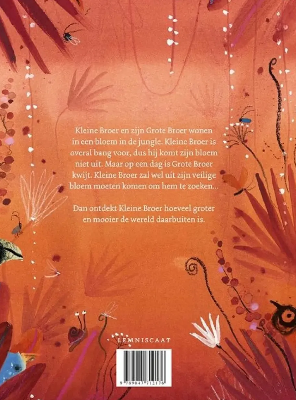 Waar is Grote Broer?