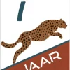 Wenskaart 7 Jaar Tijger