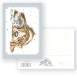 Wrendale Designs Dog and Catnap - Postcard