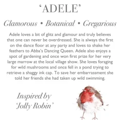 Wrendale Designs Knuffel Vogel Roodborstje Medium 16cm