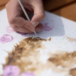 Wrendale Designs Paint by Numbers - Head Clover Heels (Rabbit)