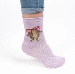 Wrendale Designs Sok Uil Spectacular