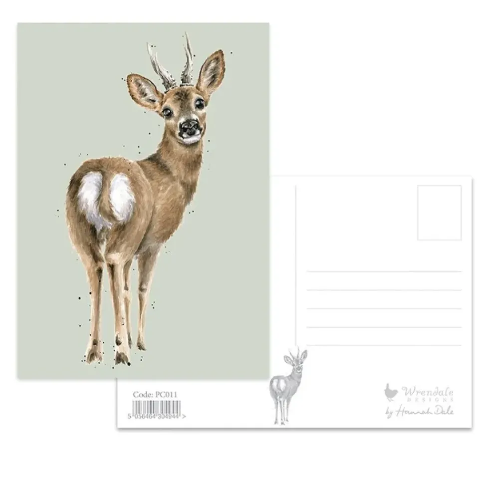 Wrendale Designs The Roe Deer Postcard - Deer