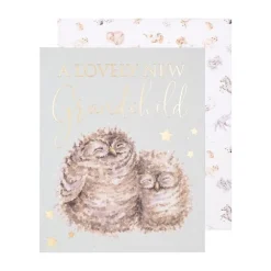 Wrendale Designs Wenskaart Words of Wisdom - A Lovely New Grandchild