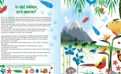 Zaklampboek Speuren in het pandabos